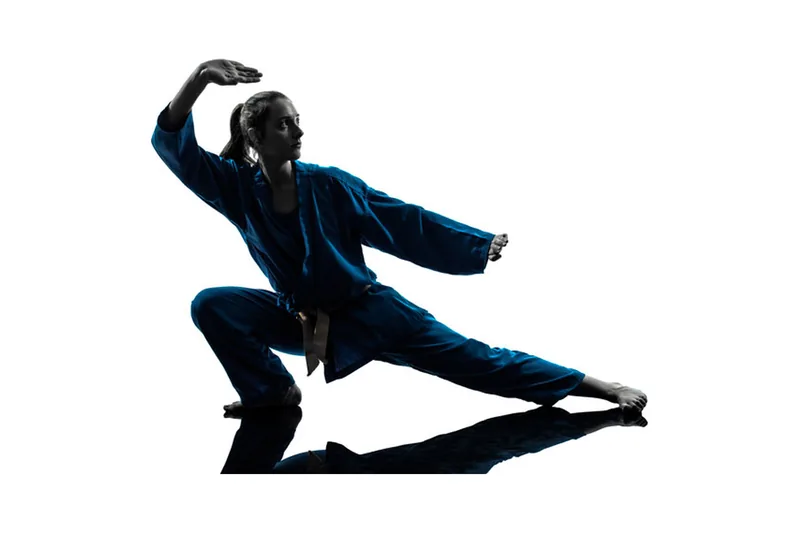 Silhouette d'une femme en tenue d'arts martiaux dans une posture de qi gong.