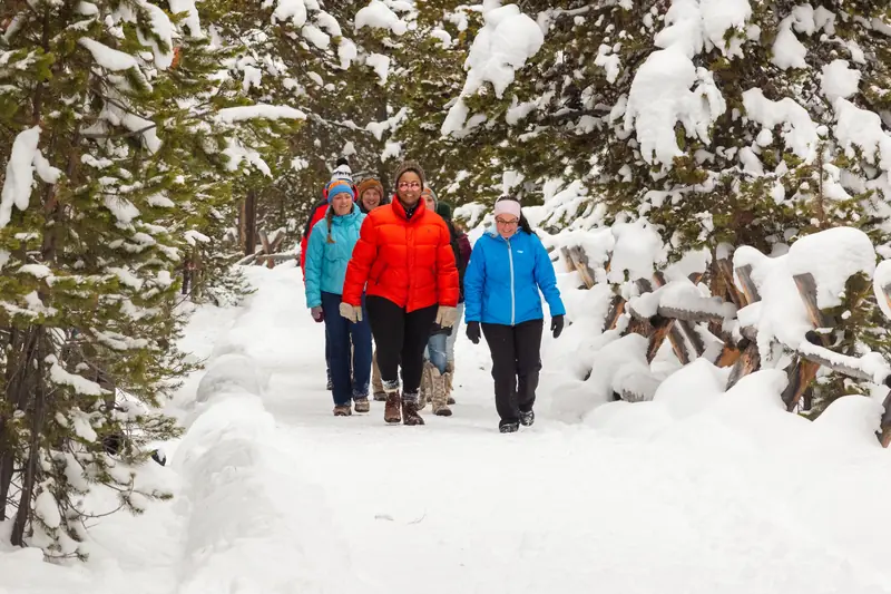 Groupe d'adultes souriants, chaudement habillés, qui marchent sur un sentier enneigé entre les sapins.